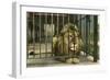 Lion, Swope Park Zoo, Kansas City, Missouri-null-Framed Art Print