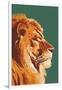 Lion Up Close-Lantern Press-Framed Art Print