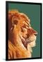 Lion Up Close-Lantern Press-Framed Art Print