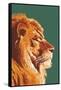 Lion Up Close-Lantern Press-Framed Stretched Canvas
