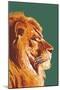 Lion Up Close-Lantern Press-Mounted Art Print