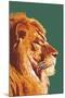 Lion Up Close-Lantern Press-Mounted Art Print
