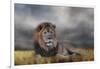 Lion Waiting for the Storm-Jai Johnson-Framed Giclee Print