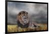 Lion Waiting for the Storm-Jai Johnson-Framed Giclee Print