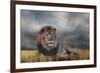 Lion Waiting for the Storm-Jai Johnson-Framed Premium Giclee Print