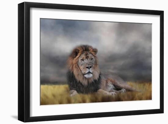 Lion Waiting for the Storm-Jai Johnson-Framed Giclee Print
