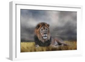 Lion Waiting for the Storm-Jai Johnson-Framed Giclee Print