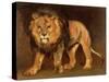 Lion Walking-Théodore Géricault-Stretched Canvas