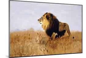 Lion Watching for Prey-Wilhelm Kuhnert-Mounted Giclee Print