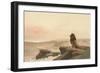 Lion Watching Sunset-null-Framed Art Print