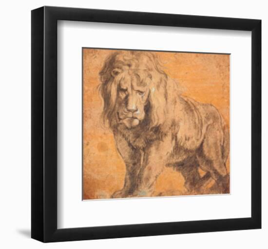 Lion-Peter Paul Rubens-Framed Art Print