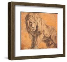 Lion-Peter Paul Rubens-Framed Art Print