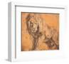 Lion-Peter Paul Rubens-Framed Art Print