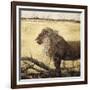 Lion-Emmanuel Michel-Framed Art Print