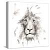 Lion-Philippe Debongnie-Stretched Canvas