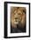 Lion-DLILLC-Framed Photographic Print