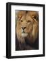 Lion-DLILLC-Framed Photographic Print