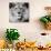 Lion-null-Photographic Print displayed on a wall