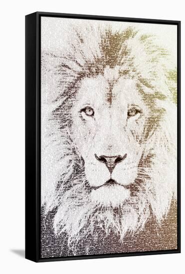 Lion-Paula Belle Flores-Framed Stretched Canvas