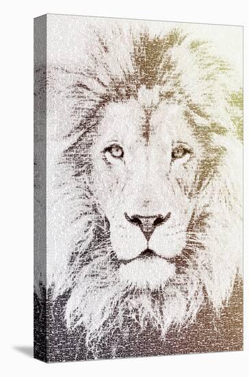 Lion-Paula Belle Flores-Stretched Canvas