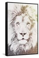 Lion-Paula Belle Flores-Framed Stretched Canvas