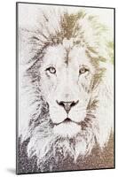 Lion-Paula Belle Flores-Mounted Art Print