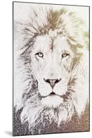 Lion-Paula Belle Flores-Mounted Art Print