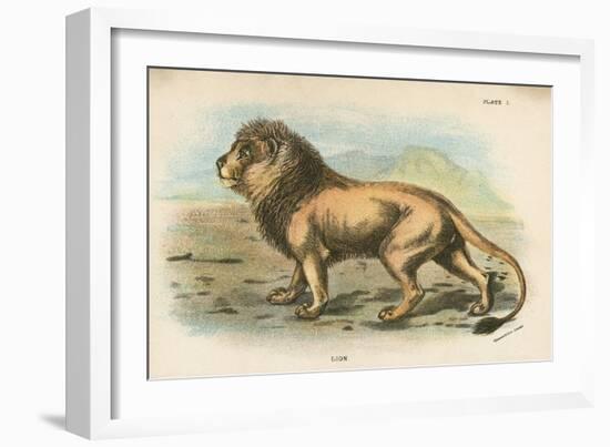 Lion-English School-Framed Giclee Print