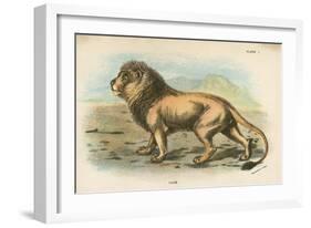 Lion-English School-Framed Giclee Print