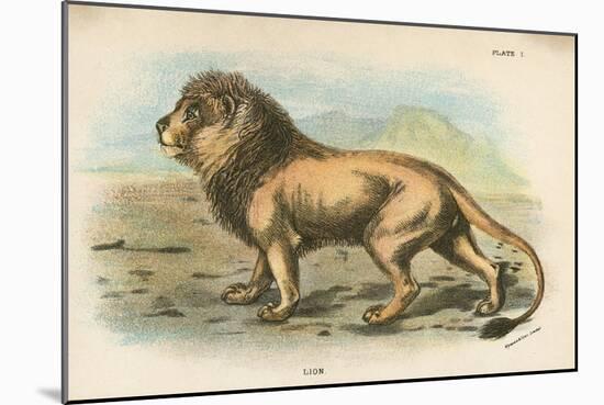 Lion-English School-Mounted Giclee Print