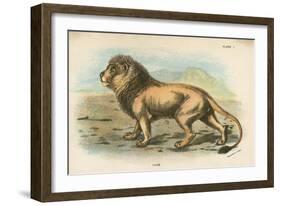 Lion-English School-Framed Premium Giclee Print