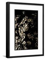 Lion-Cristian Mielu-Framed Art Print