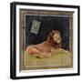 Lion-Lisa Ven Vertloh-Framed Art Print