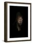 Lion-Incado-Framed Premium Photographic Print