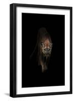 Lion-Incado-Framed Premium Photographic Print