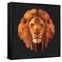 Lion-Lora Kroll-Framed Stretched Canvas