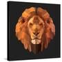 Lion-Lora Kroll-Stretched Canvas