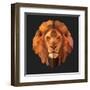 Lion-Lora Kroll-Framed Art Print