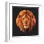 Lion-Lora Kroll-Framed Art Print