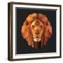 Lion-Lora Kroll-Framed Art Print