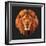 Lion-Lora Kroll-Framed Art Print