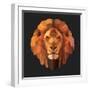 Lion-Lora Kroll-Framed Art Print