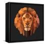 Lion-Lora Kroll-Framed Stretched Canvas