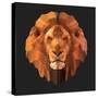 Lion-Lora Kroll-Stretched Canvas