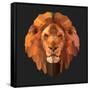 Lion-Lora Kroll-Framed Stretched Canvas