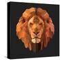 Lion-Lora Kroll-Stretched Canvas