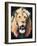 Lion-Vivien Rhyan-Framed Art Print