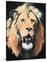 Lion-Vivien Rhyan-Stretched Canvas