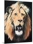 Lion-Vivien Rhyan-Mounted Premium Giclee Print