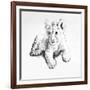 Lion-Vivien Rhyan-Framed Art Print